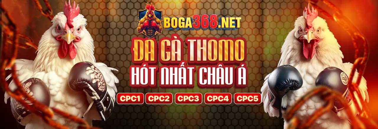 Dealer sss666 Live Casino