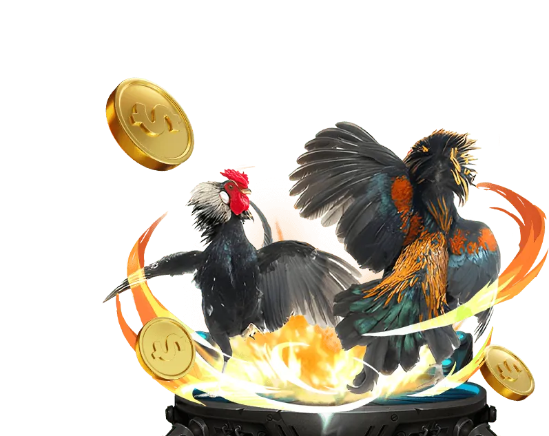 Ưu điểm sss666